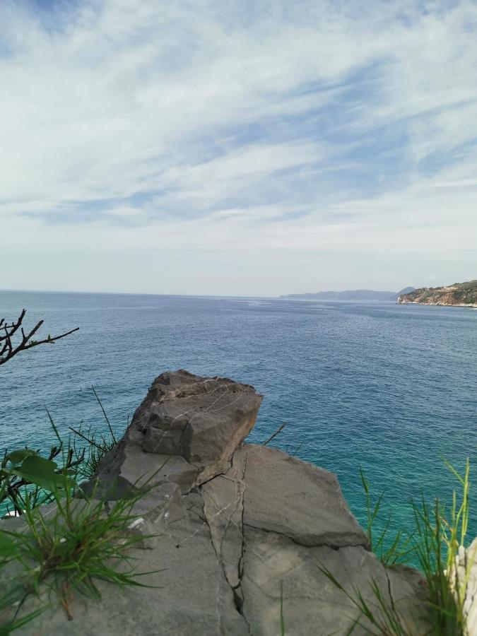 Guest House Radulovic Petrovac Екстер'єр фото